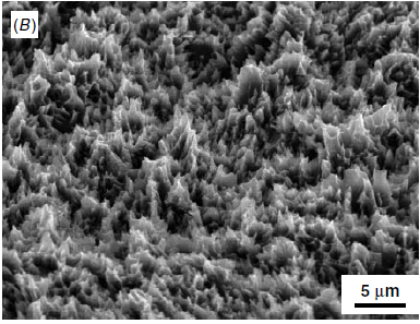 The biocompatibility of SLA-treated titanium implants 